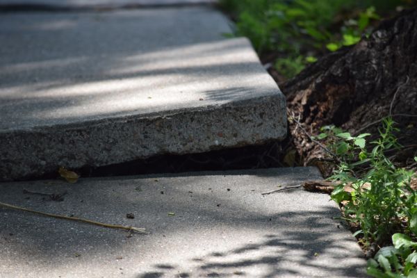 Cost of Sidewalk Leveling in Deland