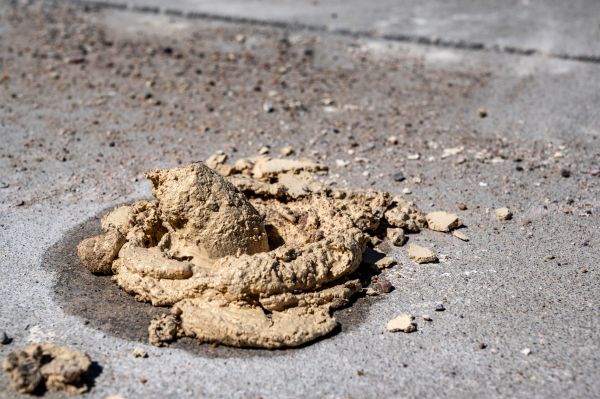 Cost of Driveway Slab Leveling in Deland